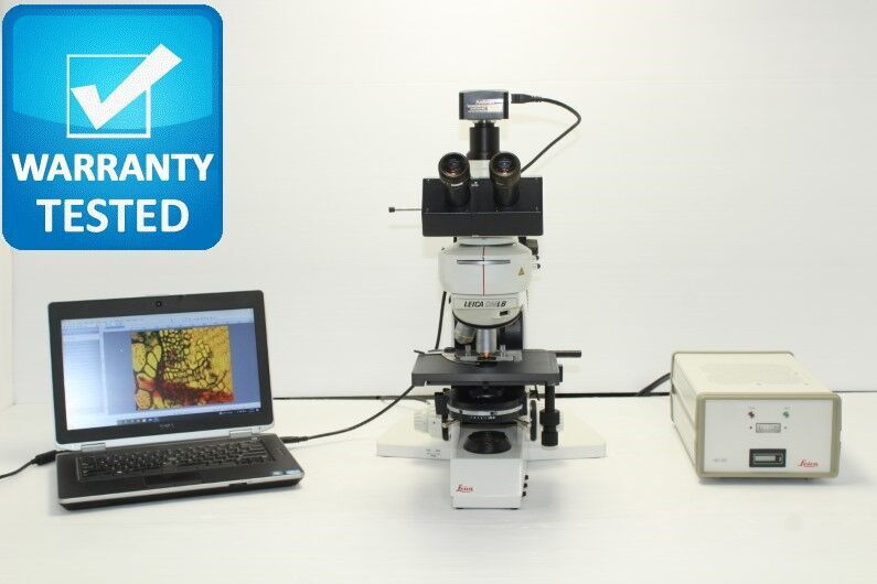 IX73 Гибкость и инновации в микроскопии на примере современных исследований